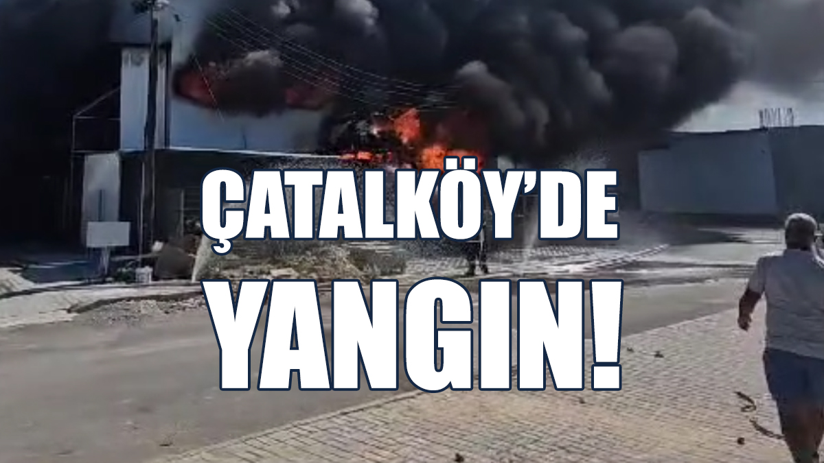 Çatalköy’de Yangın!