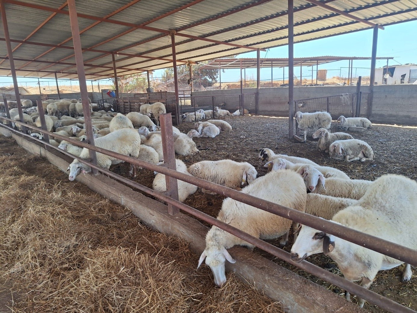 Çiftliklerde denetim… 17 numune analize gönderildi
