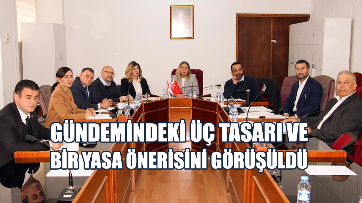 Hukuk, Siyasi İşler, Dışilişkiler Ve Savunma Komitesi Toplandı