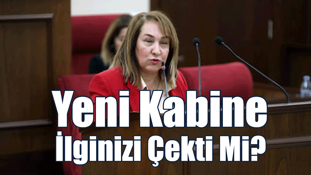 Besim: Yeni Kabine İlginizi Çekti Mi? Benim Hiç Çekmedi