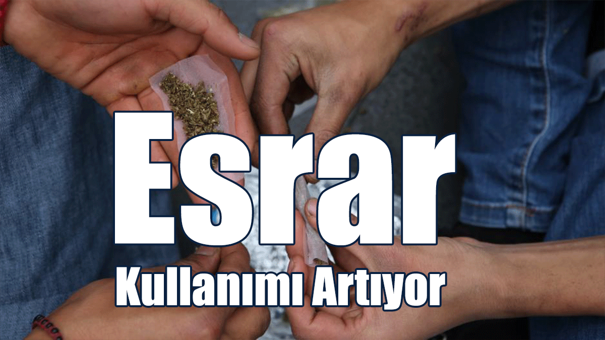 Başbakanlık Uyuşturucu ile Mücadele Komisyonu: Esrar Kullanımı Artıyor