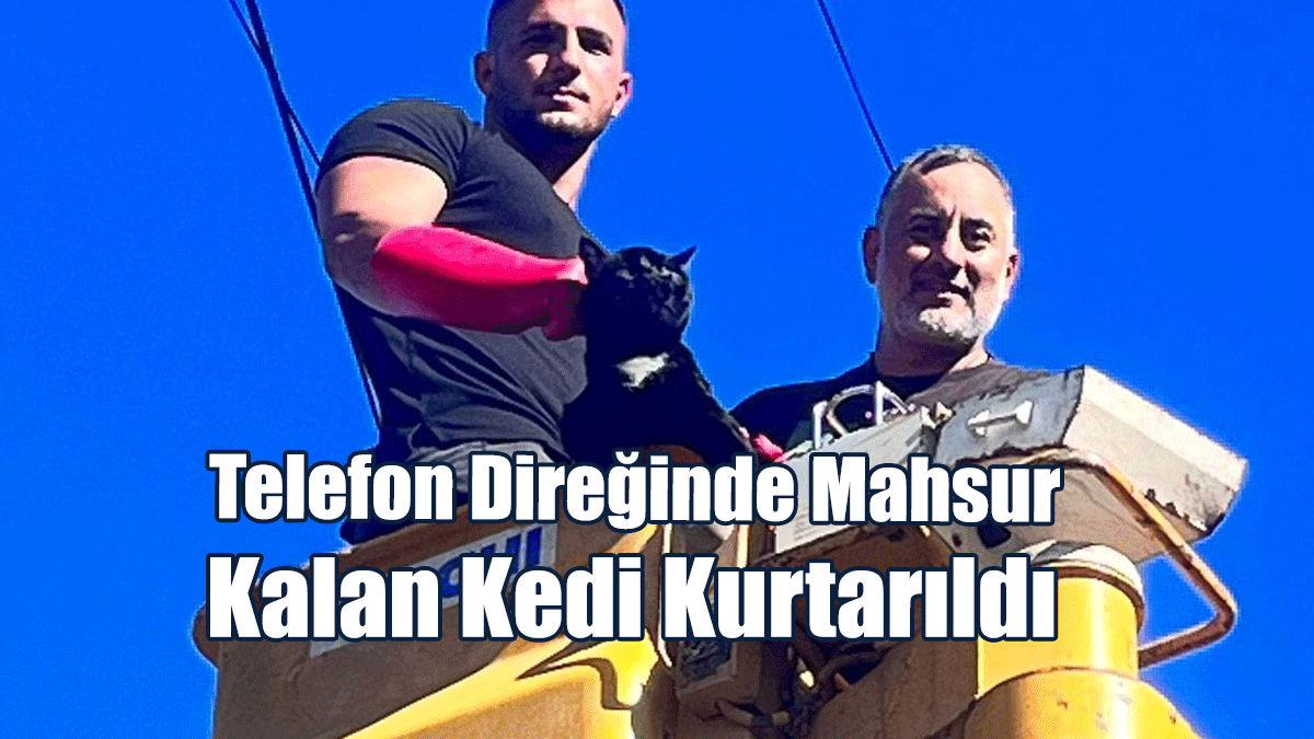 Telefon Direğinde Mahsur Kalan Kedi Kurtarıldı