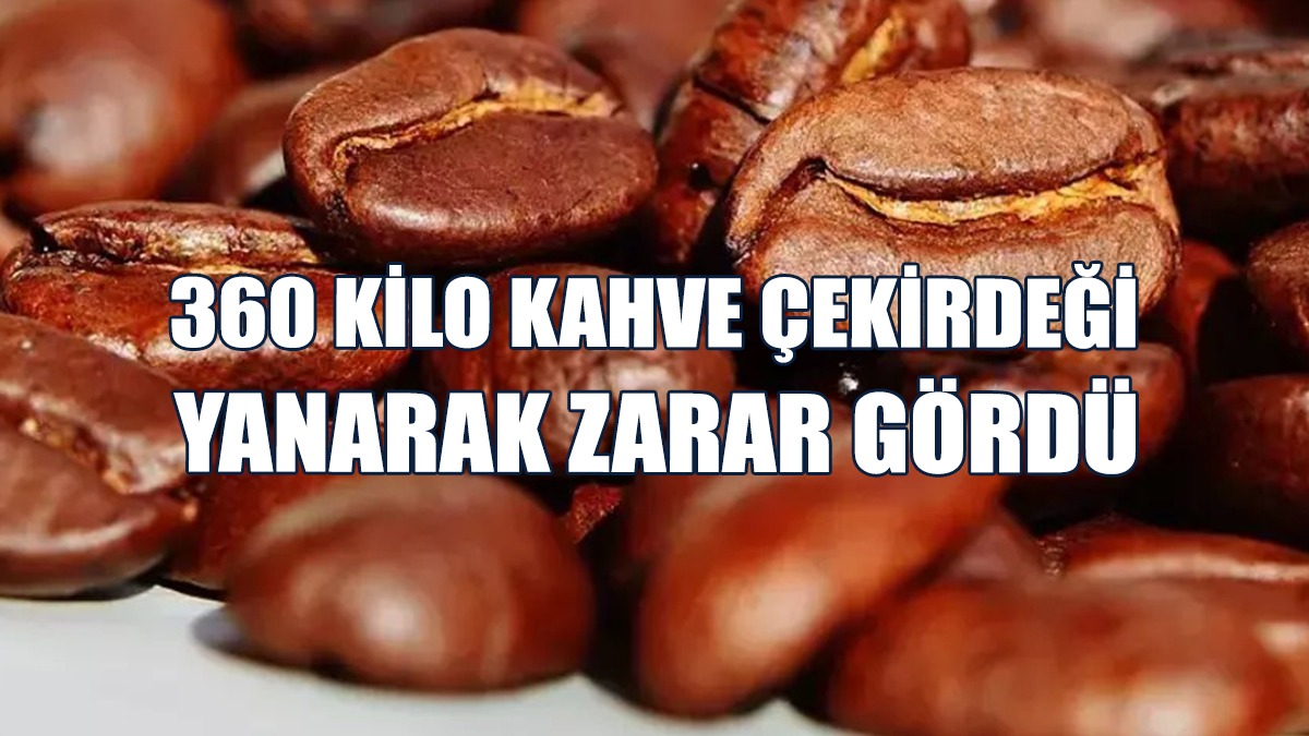 Boğazköy'de Yangın...