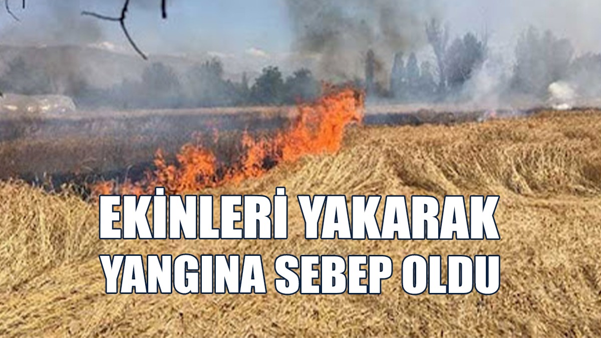 Ekinleri Kasten Yakan Şahıs Tutuklandı