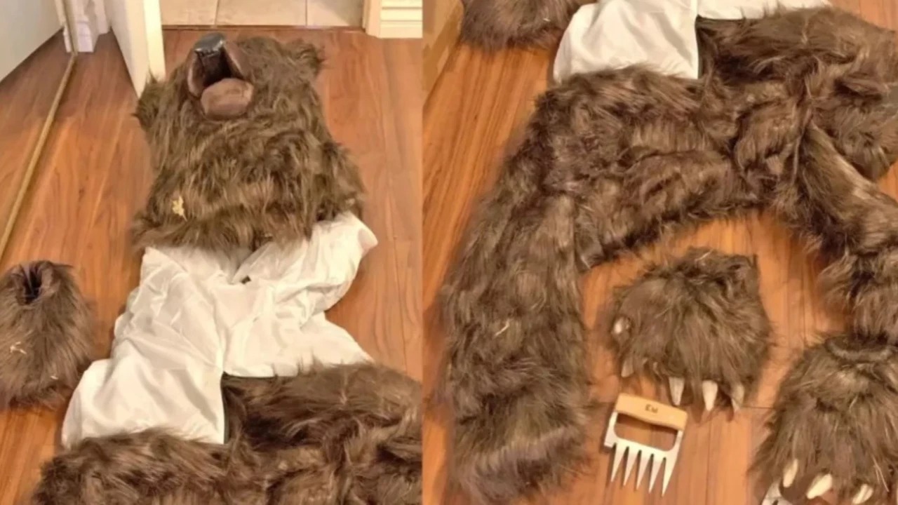 Görülmemiş dolandırıcılık: Ayı kostümüyle lüks araçlara saldırdılar