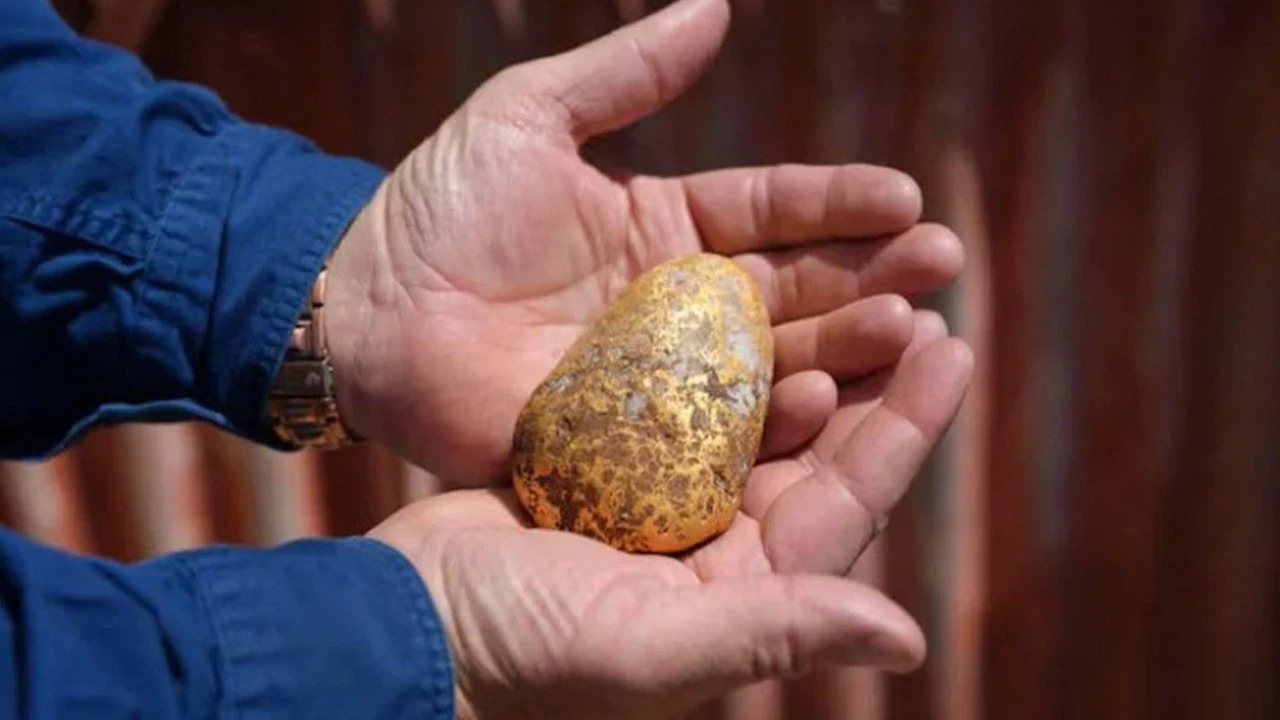 Patates sandı servet çıktı! Yıllardır kimse böylesini görmedi