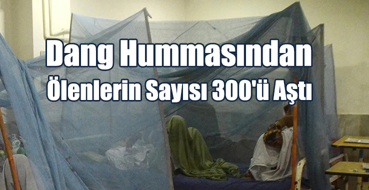 Dang Hummasından Ölenlerin Sayısı 300'ü Aştı