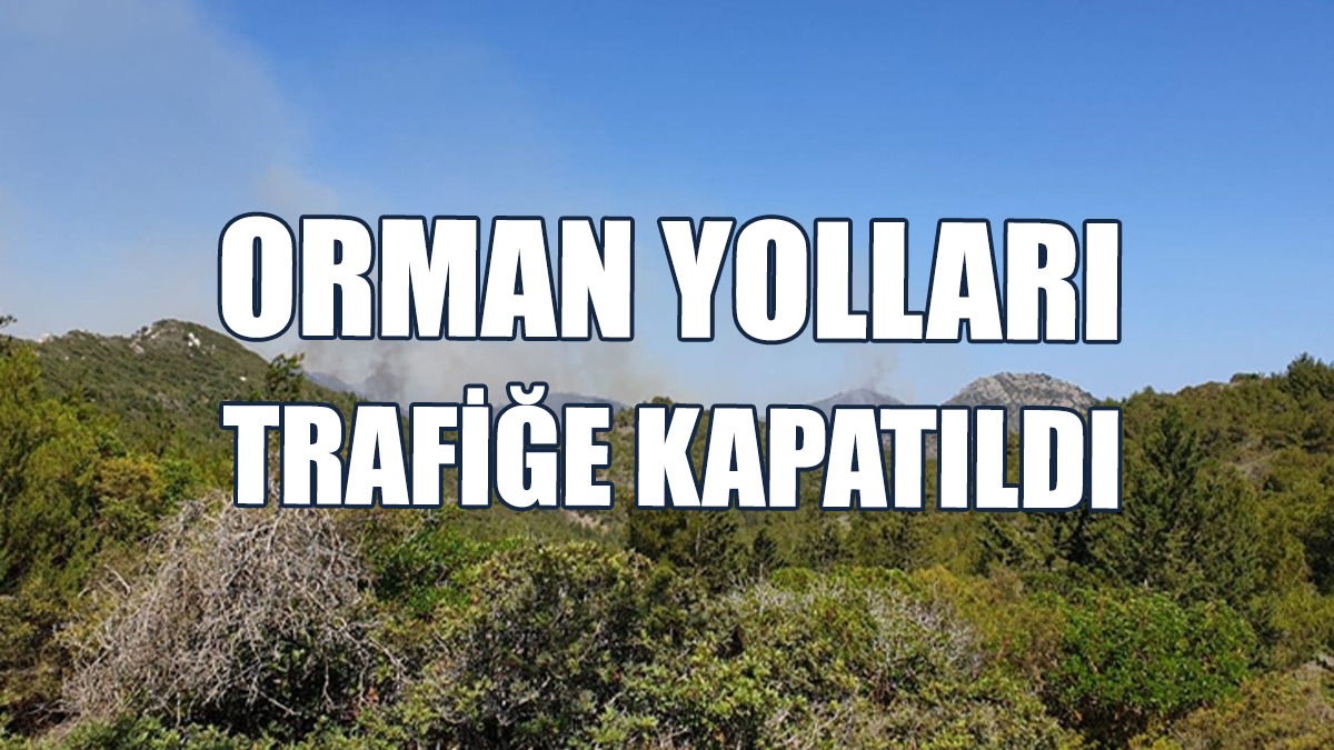 Orman Yangınlarına Karşı Tedbirler Alındı