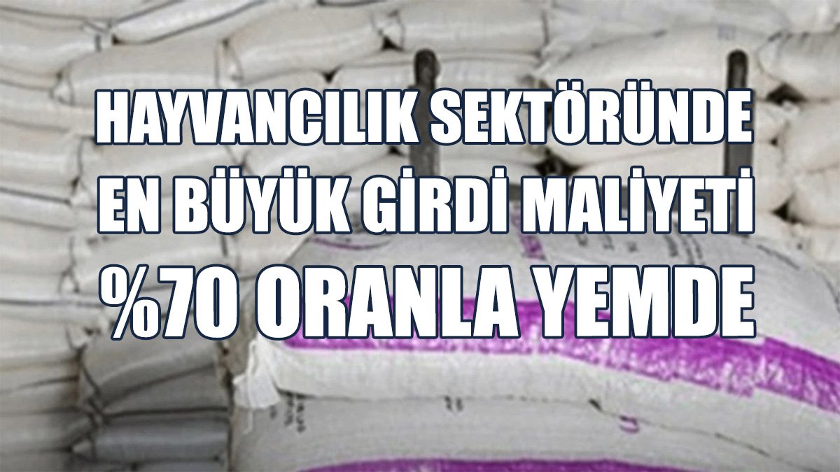 Uluçam: Binboğa Yem Kooperatifi Siyasetin İstihdam Kapısı