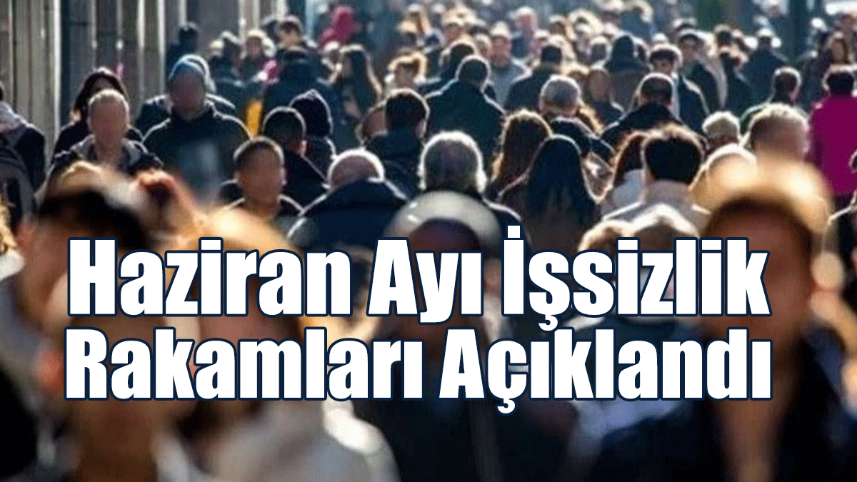 Türkiye'de Haziran Ayı İşsizlik Rakamları Açıklandı