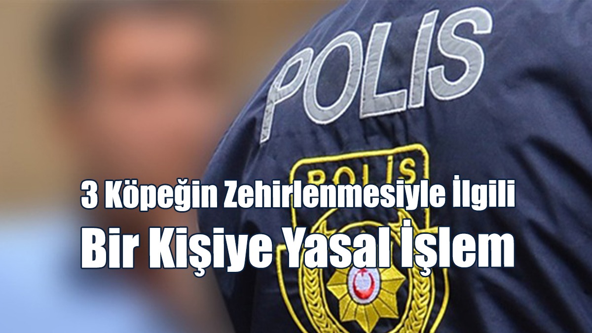 3 Köpeğin Zehirlenmesiyle İlgili Bir Kişiye Yasal İşlem