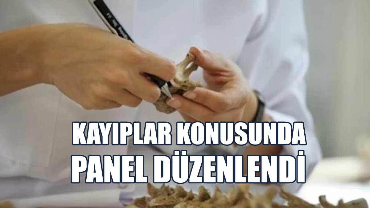 Kayıplar Konusunda Panel Düzenlendi