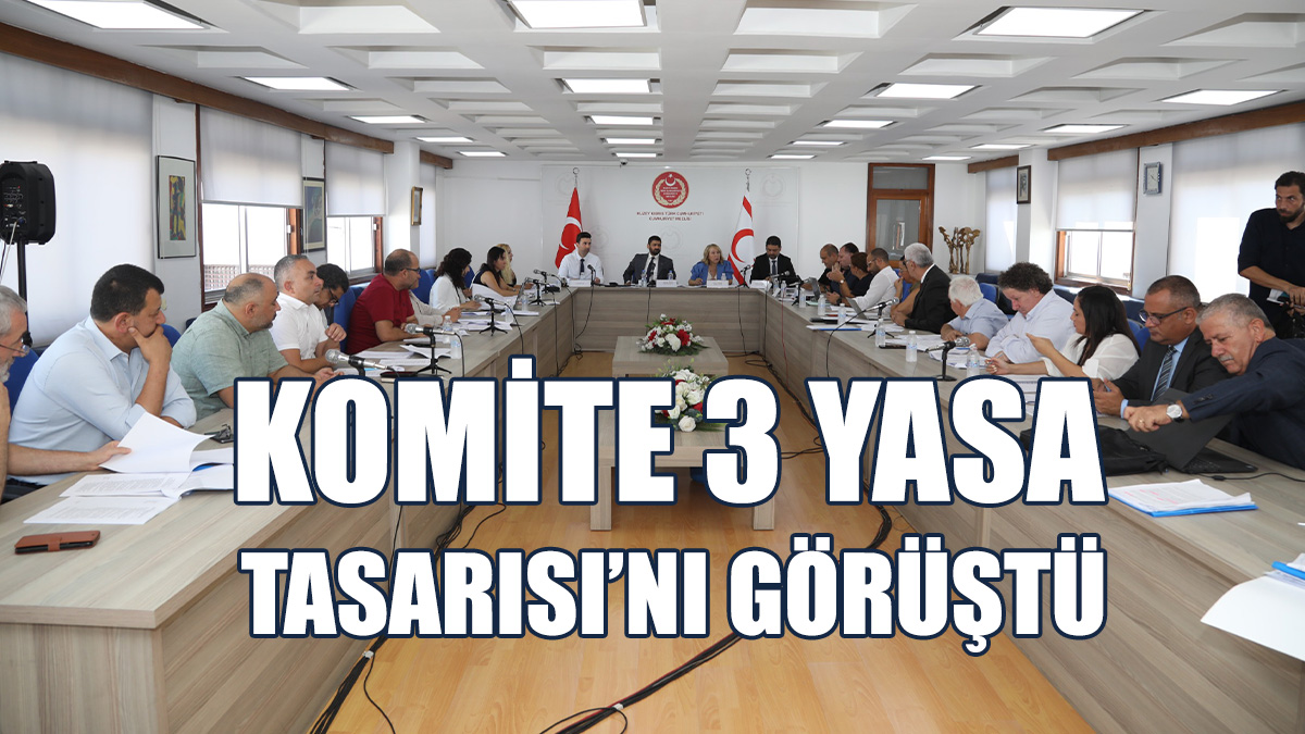 İdari, Kamu ve Sağlık İşleri Komitesi Toplandı