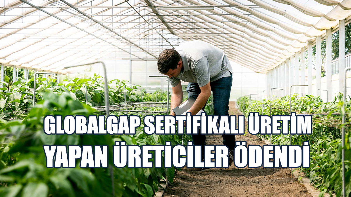 31 Üreticiye, 2 Milyon 466 Bin 050 TL Ödeme Yapıldı