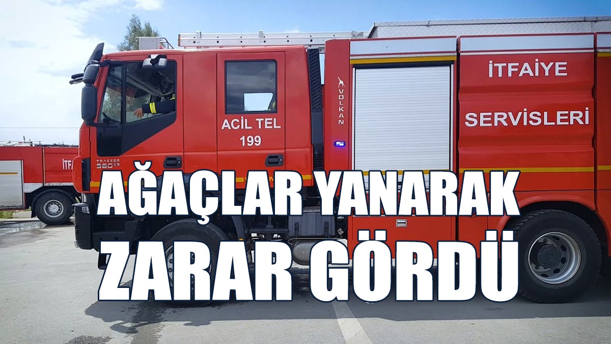 Altınova’da Yangın