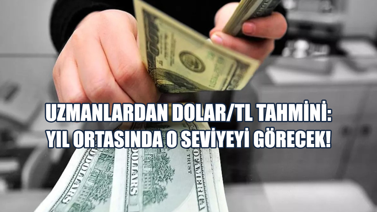 Uzmanlardan Dolar/TL Tahmini: Yıl Ortasında O Seviyeyi Görecek!