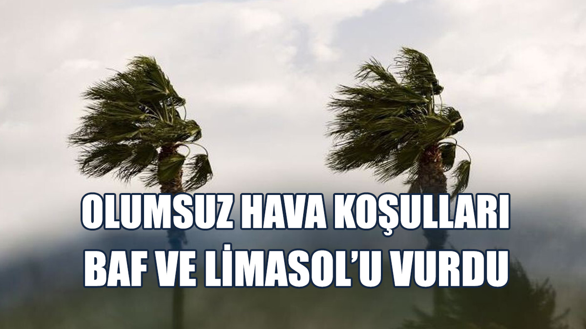 En Büyük Problemler Çiftliklerde Ve Trafik Akışında Yaşandı