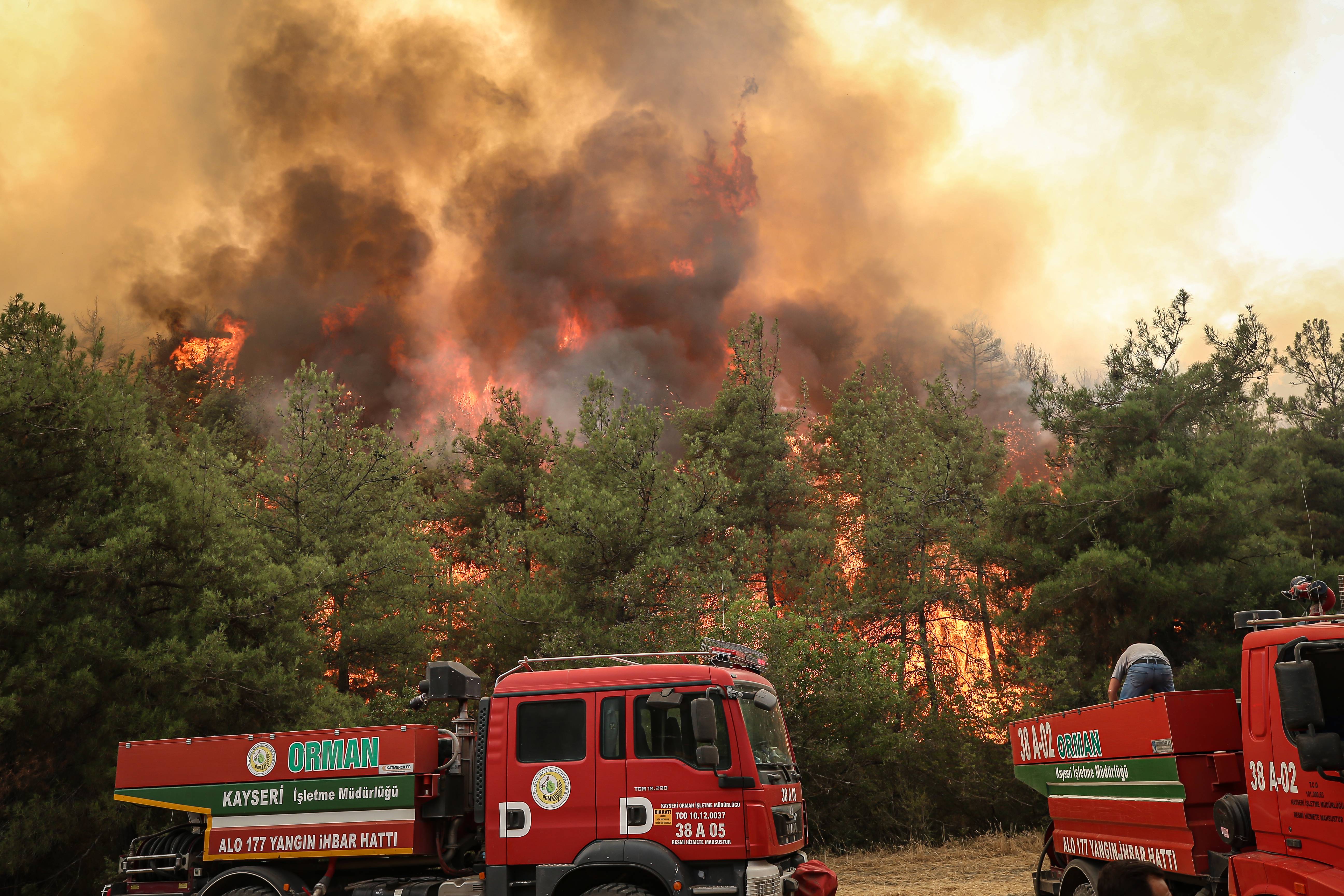 Türkiye’de orman yangınlarıyla mücadele dördüncü gününde