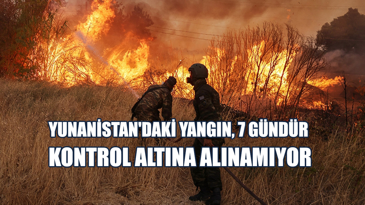 13 Bin Dönüm Ormanlık Alan Küle Döndü