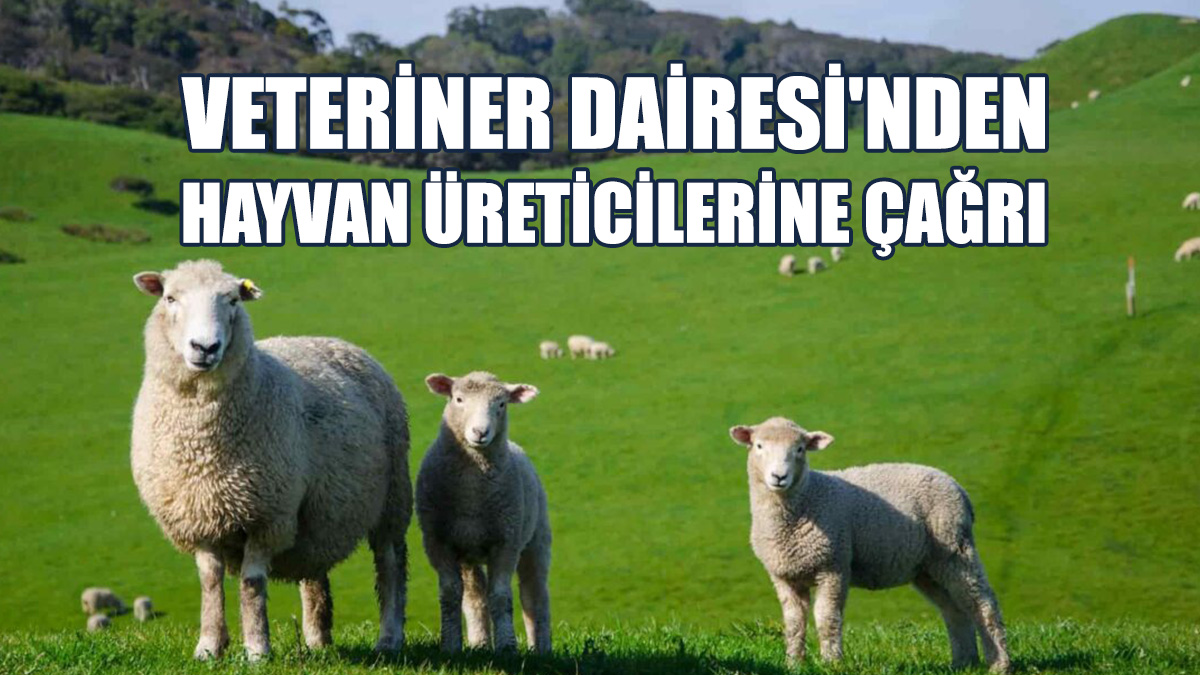 “Daireye Kayıtlı Hayvan Bilgilerinin Güncellemesi Gerek”