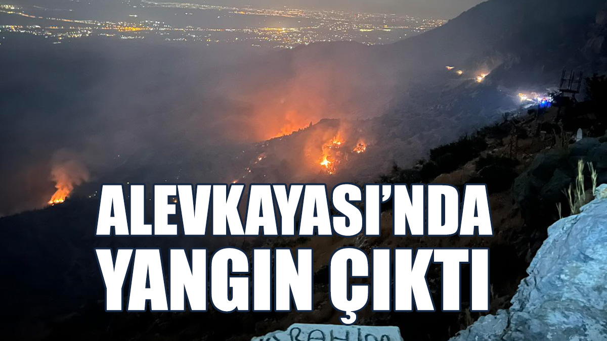 Alevkayası'nın Güney Kısmında Dün Yangın Çıktı