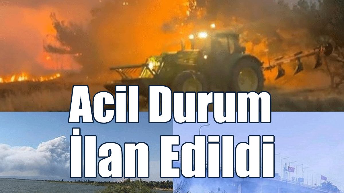 Dedeağaç'ta Yangın Nedeniyle Bölgede Acil Durum İlan Edildi