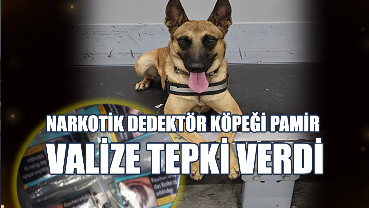 Valizindeki 100 Gram Uyuşturucuyla Ülkeye Giriş Yaptı!