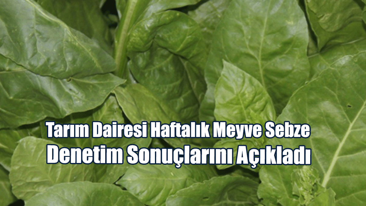 Tarım Dairesi Haftalık Meyve Sebze Denetim Sonuçlarını Açıkladı