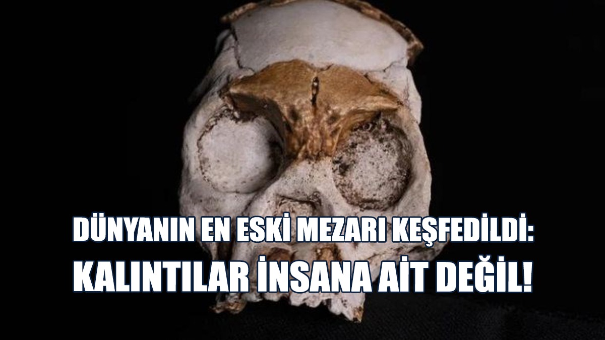 Dünyanın En Eski Mezarı Keşfedildi: Kalıntılar İnsana Ait Değil!