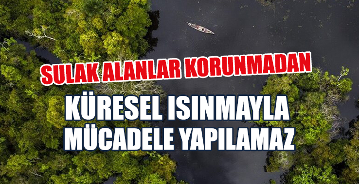 Sulak Alanlar Korunmadan Küresel Isınmayla Mücadele Yapılamaz