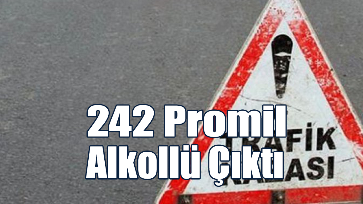 242 Promil Alkollü Çıktı
