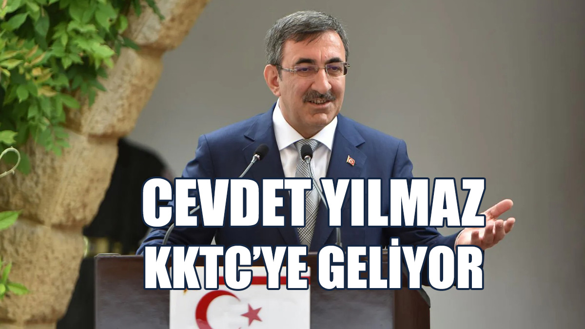 Yılmaz, Projeleri İnceleyecek