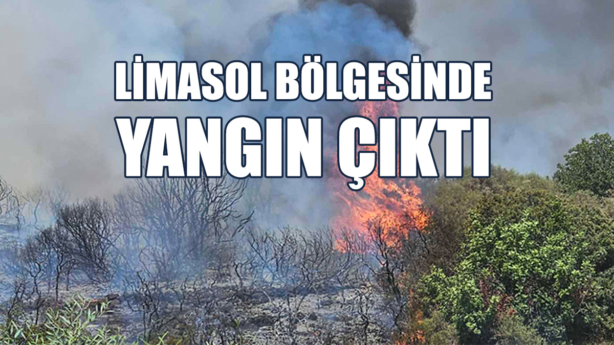 Yangın Söndürme Çalışmaları Sürüyor