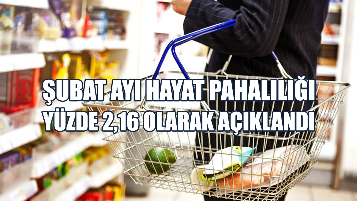 En Yüksek Artış Eğitim Ana Grubunda