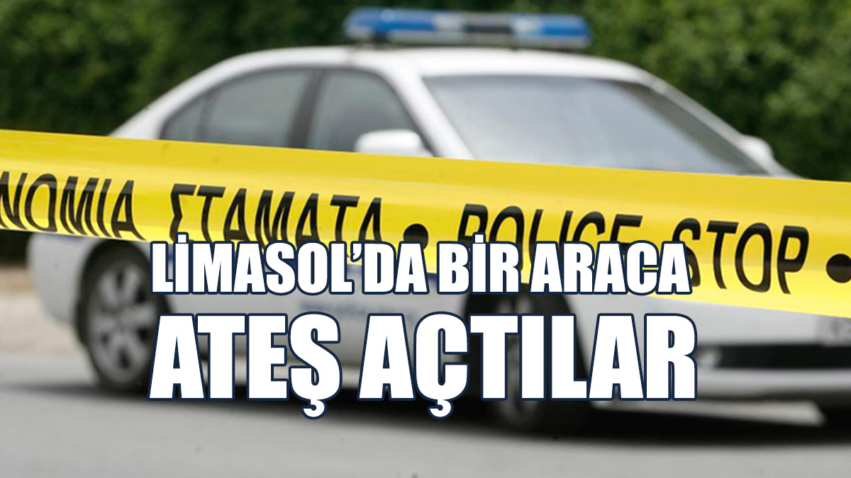 Park Halindeki Araca Ateş Açtılar