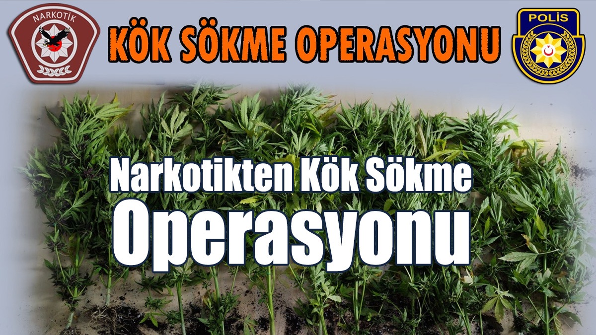 Narkotikten Kök Sökme Operasyonu