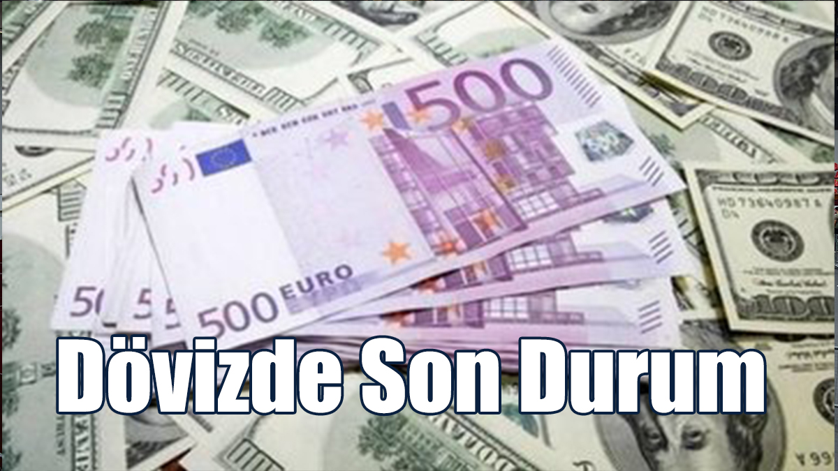 Döviz Kurları (08 Mayıs 2023)