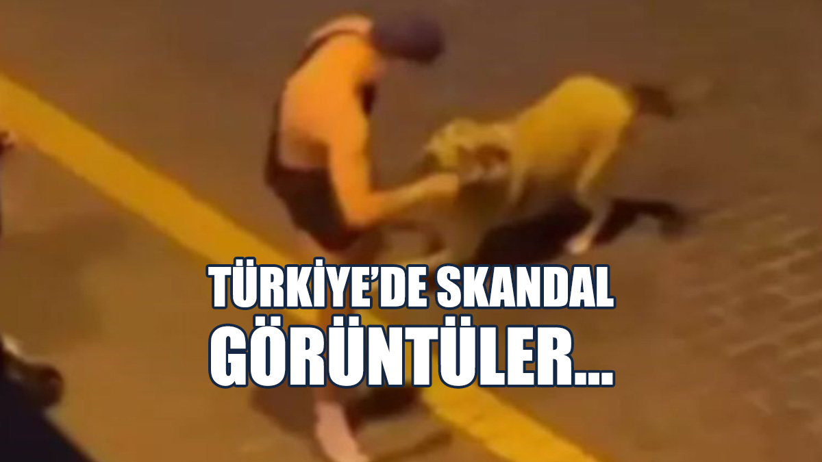 Sokak Ortasında Soyundu, Köpeğe Cinsel İstismar Girişiminde Bulundu