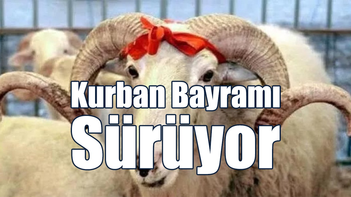 Kurban Bayramı Sürüyor