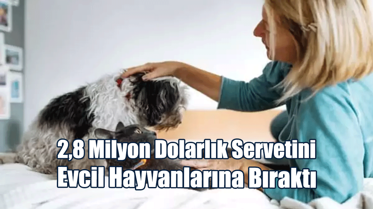 2,8 Milyon Dolarlık Servetini Evcil Hayvanlarına Bıraktı