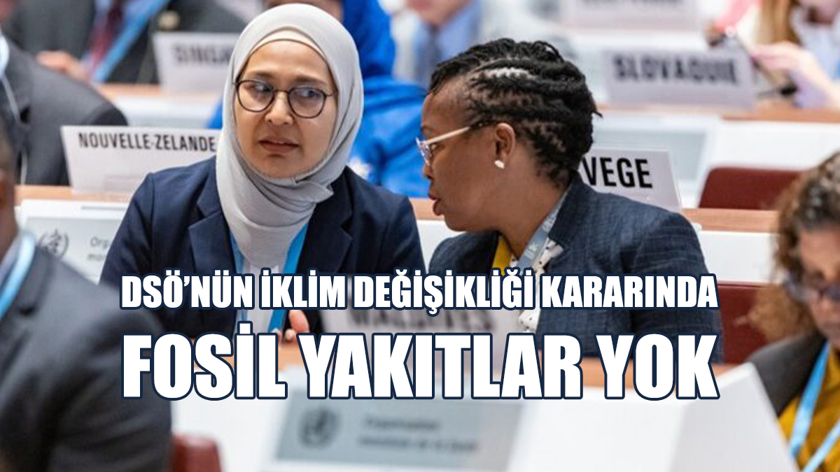 DSÖ’nün İklim Değişikliği Kararında Fosil Yakıtlar Yok