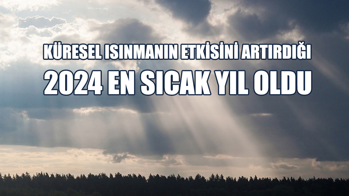 Küresel Isınmanın Etkisini Artırdığı 2024 En Sıcak Yıl Oldu