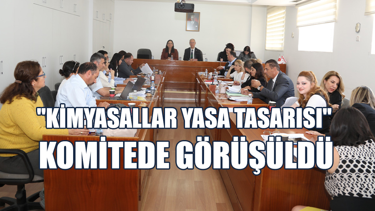 Komite, Çalışmalarına Bir Sonraki Toplantısında Devam Edecek