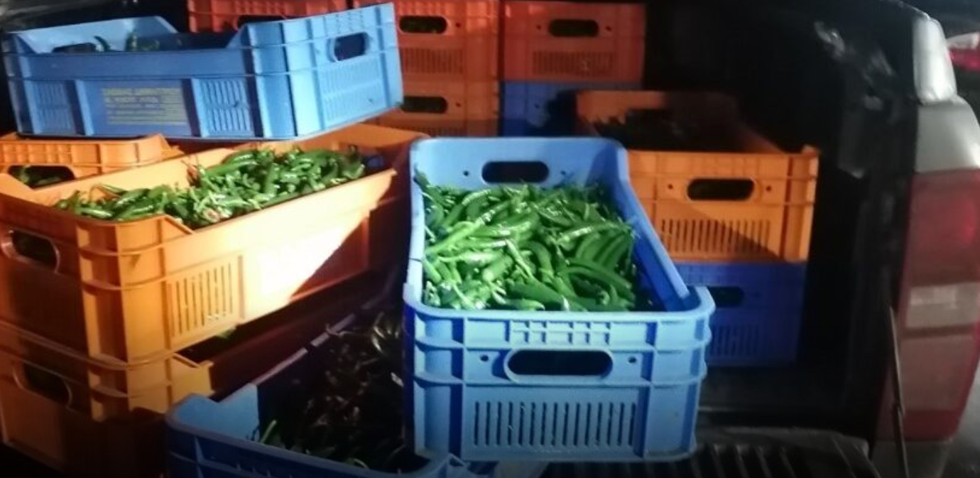 Güney’e 100 kilo biber kaçırmaya çalışan Kıbrıslı Türk yakalandı