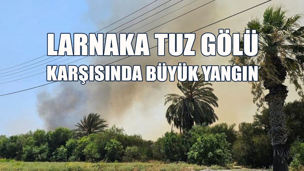 Yangının Bölgedeki Ev Ve İş Yerlerine Sıçramaması İçin Tedbir Alınıyor