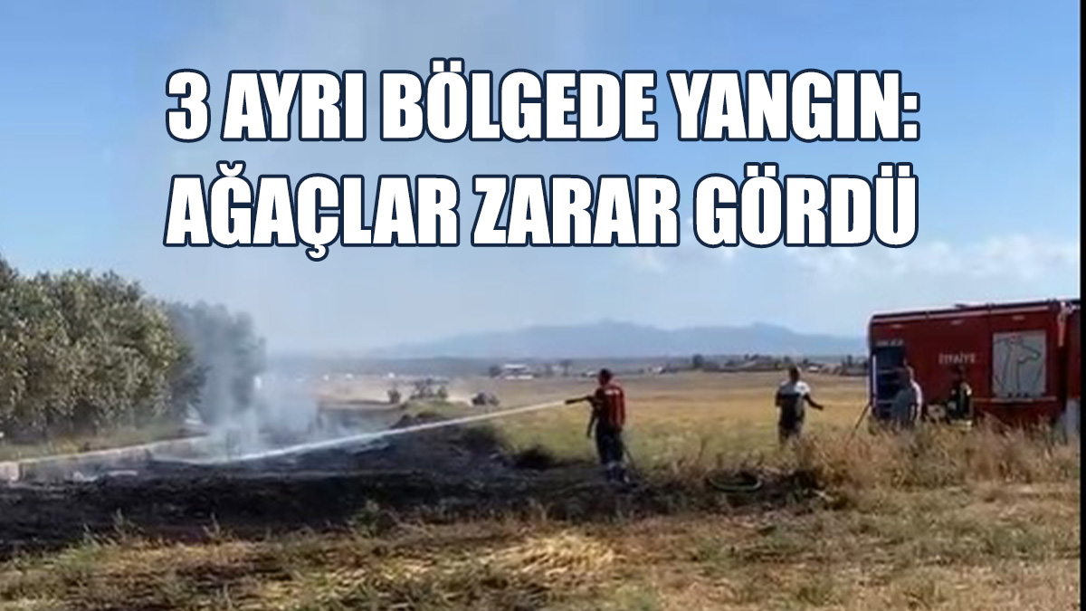Boğaziçi, Akçiçek Ve Gönyeli’de Yangın..