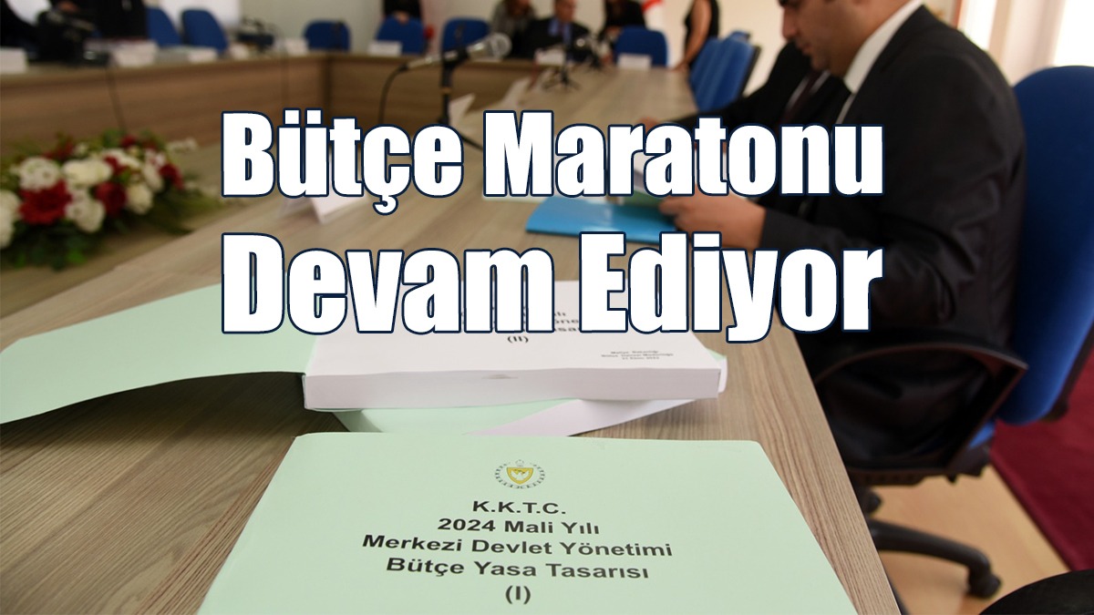 Bütçe Maratonu Devam Ediyor