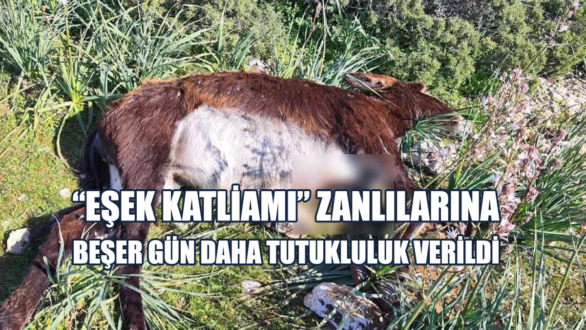 Zanlı Avukatları Tutukluluk Talebine İtiraz Ettiler