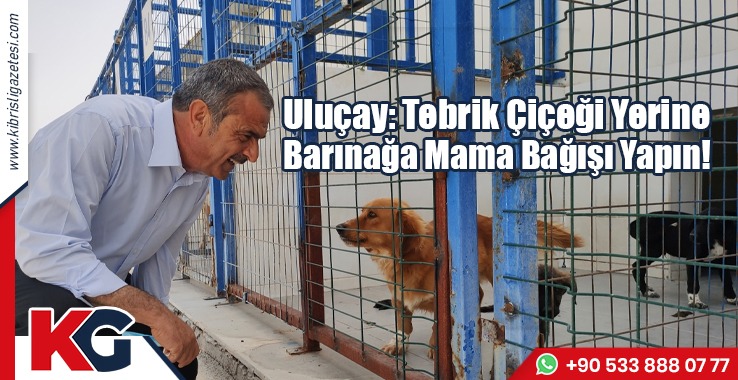 Uluçay: Tebrik Çiçeği Yerine Barınağa Mama Bağışı Yapın!