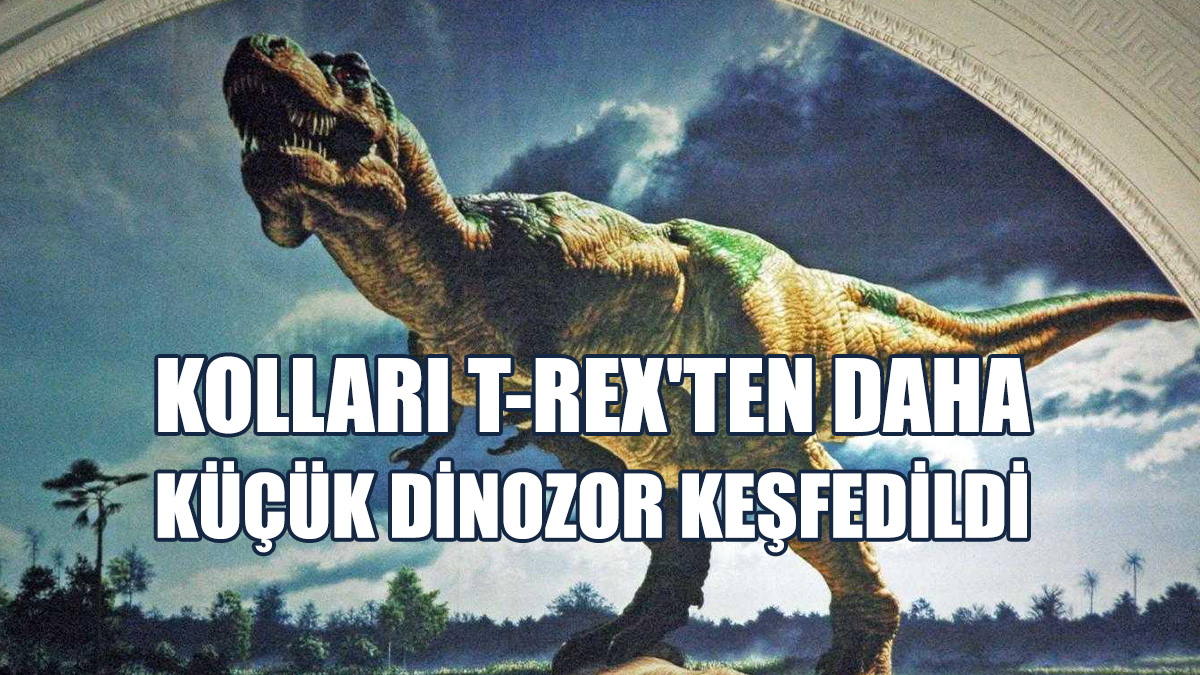 Jurassic Park'ın Meşhur Dinozoruna Benziyor